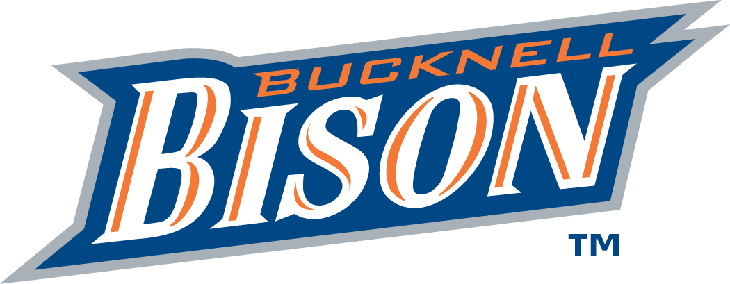 Bucknell Bison 2002-Pres Wordmark Logo iron on transfers for fabric